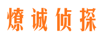 解放市私家调查